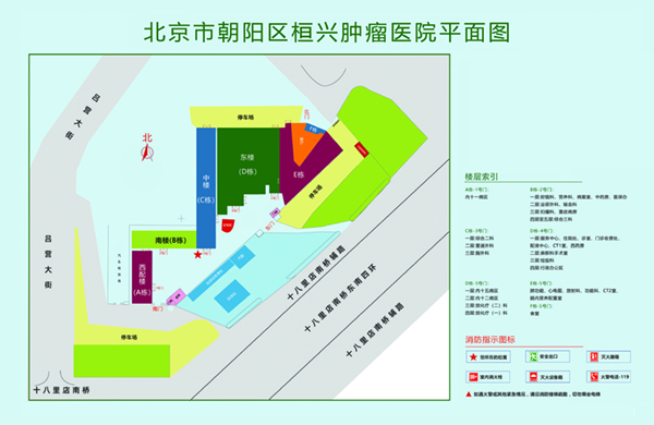 男生鸡插入女生逼里面网站北京市朝阳区桓兴肿瘤医院平面图